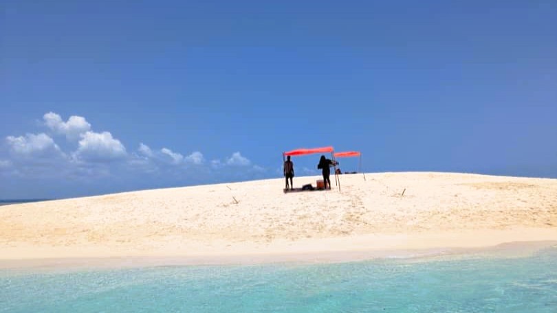 Zanzibar Snorkeling
