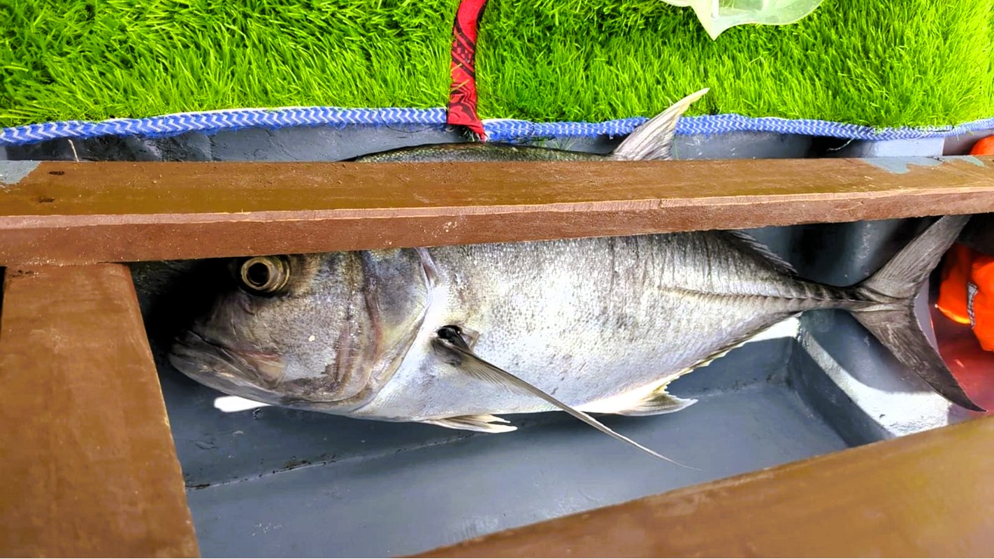 Deep Sea Fishing Zanzibar