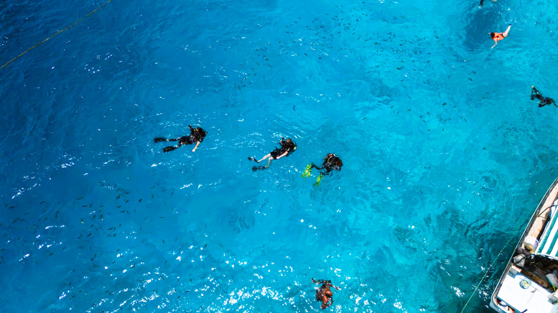 Scuba Diving Zanzibar