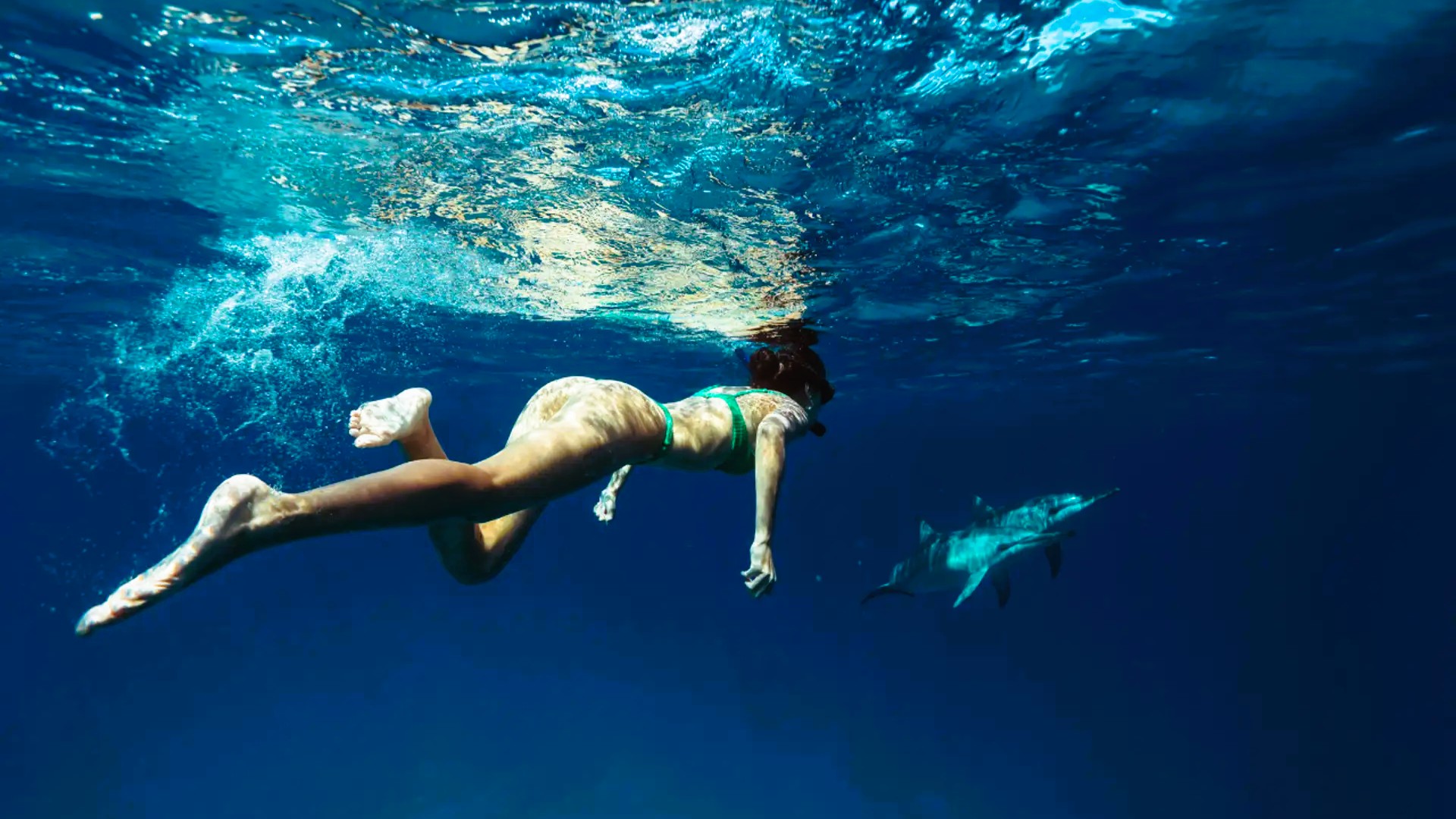Zanzibar Dolphin Encounter